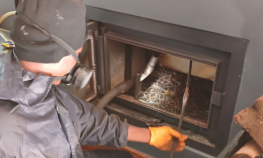 chimney being swept